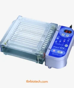 Hệ thống điện di ngang Mupid®-Exu hãng Mupid
