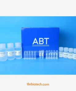 Bộ Kit Tách Chiết Cột DNA Topure Genomic DNA (HE-001) ABT