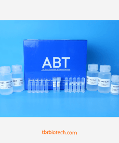 Bộ Kit Tách Chiết DNA Food Thực Phẩm Thức Ăn Chăn Nuôi
