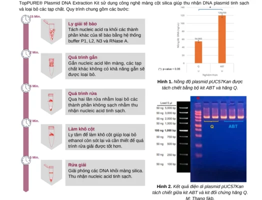 Bộ Kit tách chiết DNA RNA Plasmid