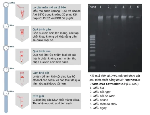 Bộ kit tách chiết DNA Plant