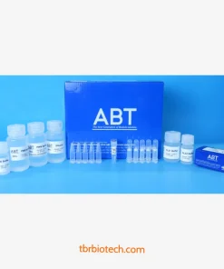 Bộ kit tách chiết cột DNA Plant