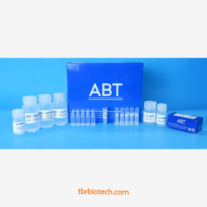 Bộ kit tách chiết cột DNA Plant