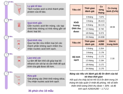 Quy trình chung bộ kit tách chiết DNA Food
