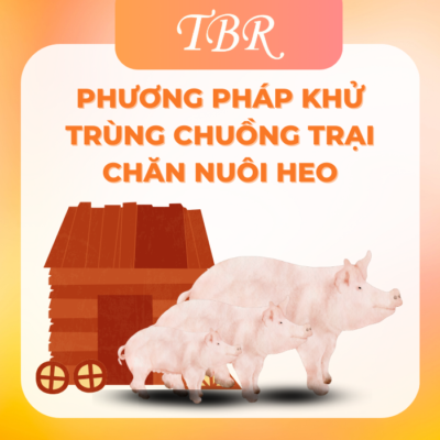 Phương pháp khử trùng chuồng trại trong chăn nuôi heo
