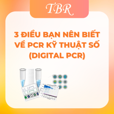 3 ĐIỀU BẠN NÊN BIẾT VỀ PCR KỸ THUẬT SỐ (Digital PCR)
