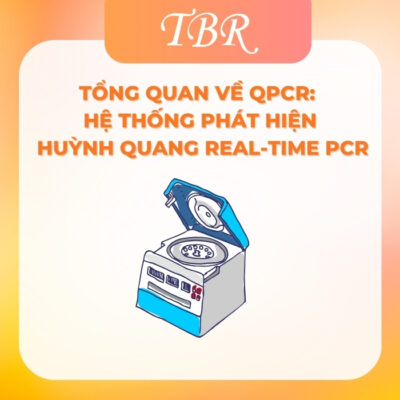 TỔNG QUAN VỀ QPCR: HỆ THỐNG PHÁT HIỆN HUỲNH QUANG REAL-TIME PCR