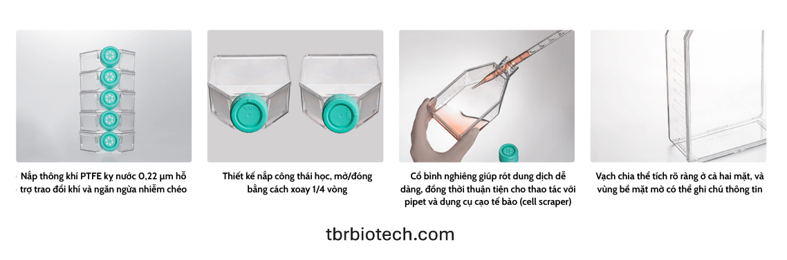 Bình Flask nuôi cấy tế bào mô