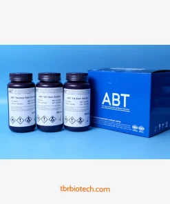 Bộ Kit Hoá Chất Nhuộm Tế Bào Papanicolaou (DD-083 DD-084)