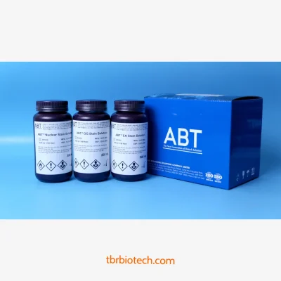 Bộ Kit Hoá Chất Nhuộm Tế Bào Papanicolaou (DD-083 DD-084)