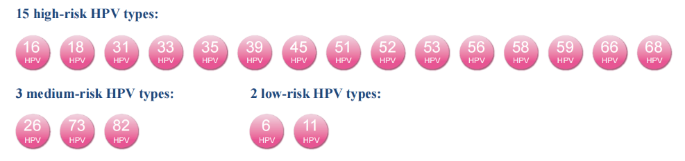 Bộ Kit Định Type HPV Real-time PCR Bioer (BSJ01M1)