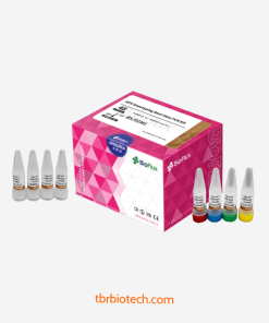 Bộ Kit Định Type HPV Real-time PCR hãng Bioer (BSJ01M1)