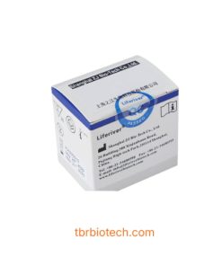Bộ kit PCR Real-Time định lượng DNA virus viêm gan B (HBV)