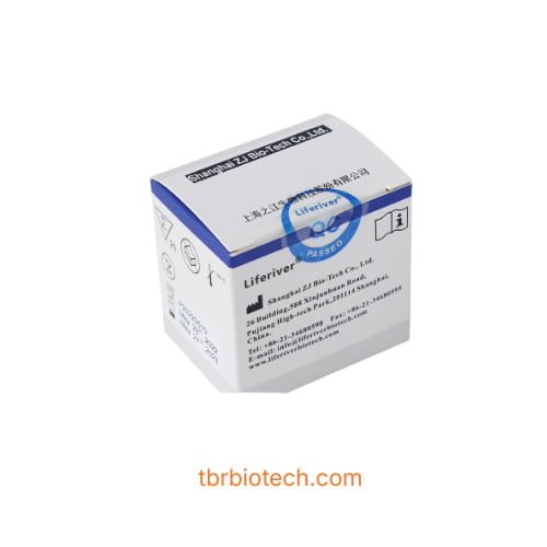 Bộ kit PCR Real-Time định lượng DNA virus viêm gan B (HBV)