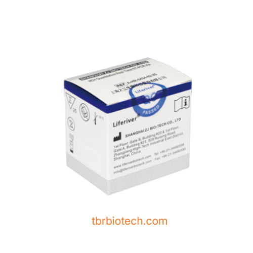 Bộ kit RT-PCR Real-Time định lượng HCV – Phát hiện virus viêm gan C độ nhạy cao