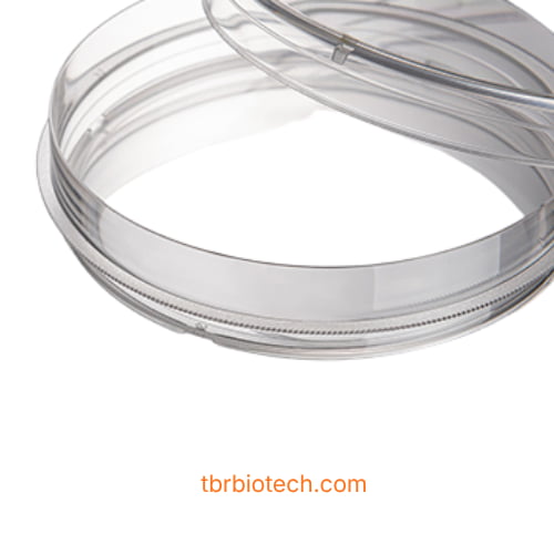 Combo nuôi cấy tế bào CellDETACH™ nhạy nhiệt