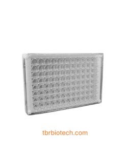 Đĩa phẳng tháo rời 96 giếng