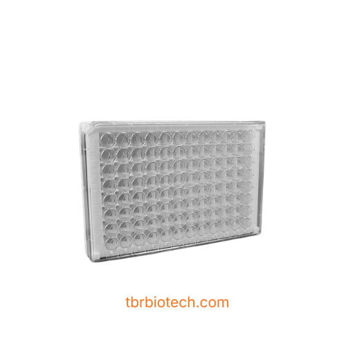 Đĩa phẳng tháo rời 96 giếng