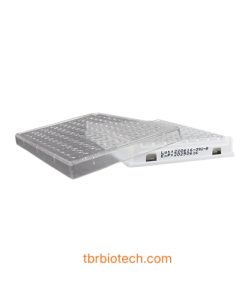 Đĩa phẳng tháo rời 96 giếng