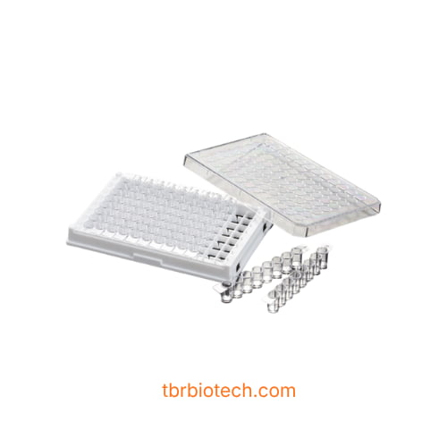 Đĩa phẳng tháo rời 96 giếng