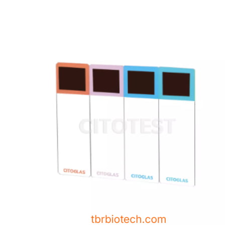 Lam kính ColorInx khắc laser - ColorInx Microscope Slides (Etchable)