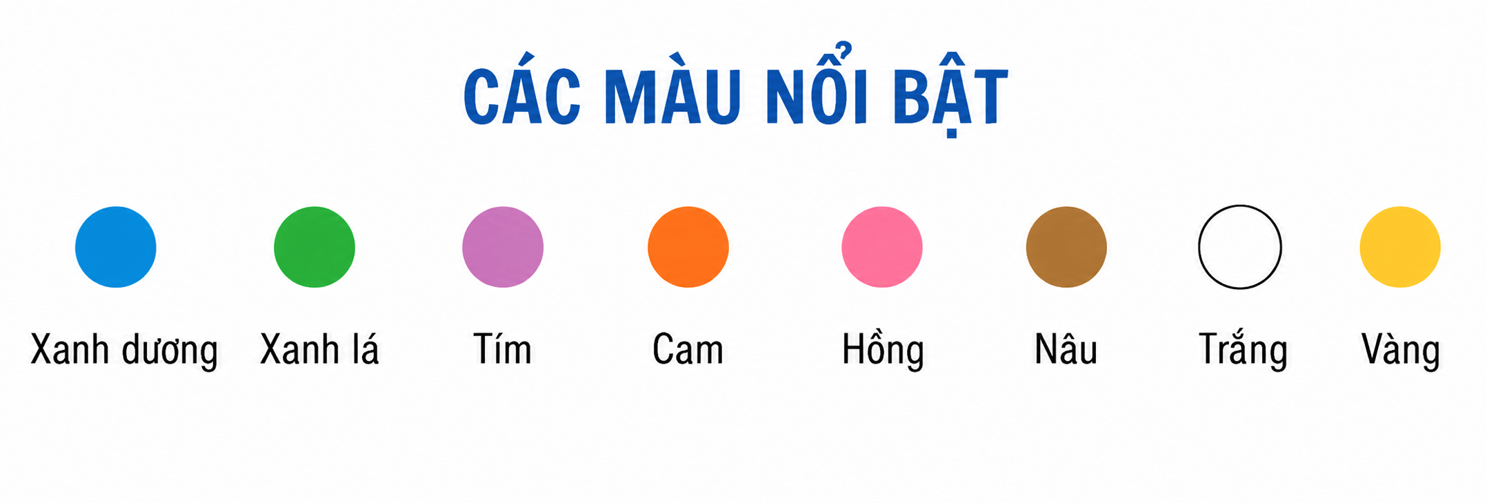 Lam kính hiển vi PCI – Mẫu lam kính cải tiến (màu)