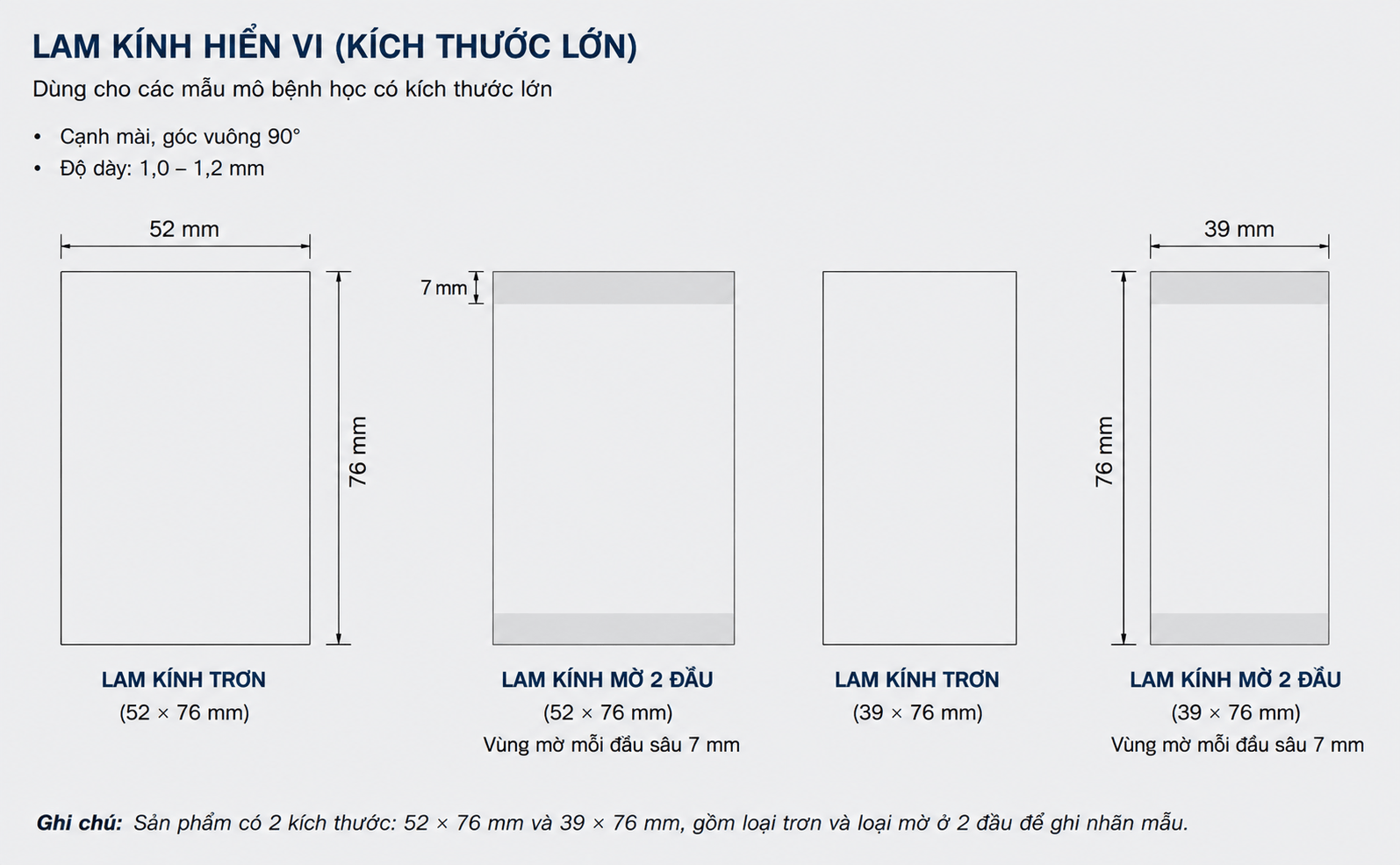 Lam kính hiển vi khổ lớn (Mega-Sized Microscope Slides)
