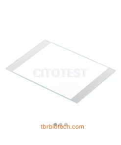 Lam kính hiển vi khổ lớn (Mega-Sized Microscope Slides)