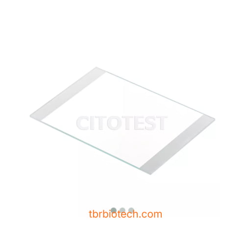 Lam kính hiển vi khổ lớn (Mega-Sized Microscope Slides)