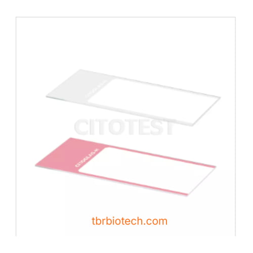Lam kính hiển vi phết tế bào (PapSmear Microscope Slides)