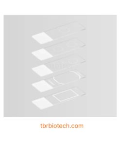 Lam-kinh-hien-vi-te-bao-hoc-chat-long-–-Liquid-Based-Cytology-Microscope-Slides