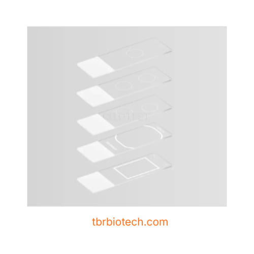 Lam-kinh-hien-vi-te-bao-hoc-chat-long-–-Liquid-Based-Cytology-Microscope-Slides