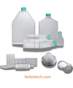 nuôi cấy tế bào siêu ưa nước CellATTACH®