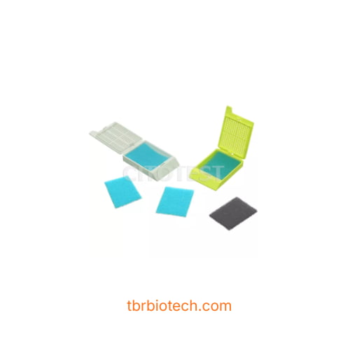 Tấm xốp cho hộp đựng sinh thiết-Biopsy Foam Pads