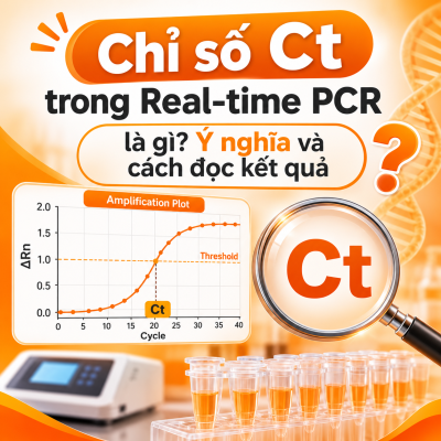 Chỉ số Ct là gì? Hướng dẫn đọc và đánh giá kết quả Real-time PCR