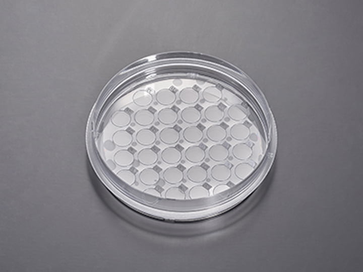 Tấm phủ CellSLIP®