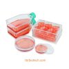 3D Sphearo™ Ultra-low Adsorption Surface