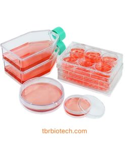 3D Sphearo™ Ultra-low Adsorption Surface