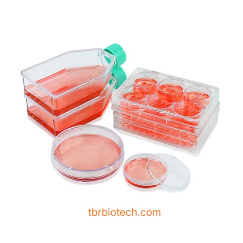 3D Sphearo™ Ultra-low Adsorption Surface