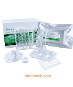 Đĩa nuôi cấy tế bào phủ Poly-D-Lysine