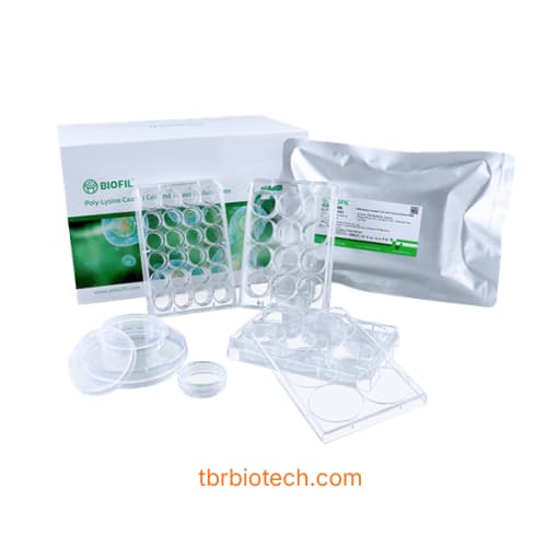 Đĩa nuôi cấy tế bào phủ Poly-D-Lysine