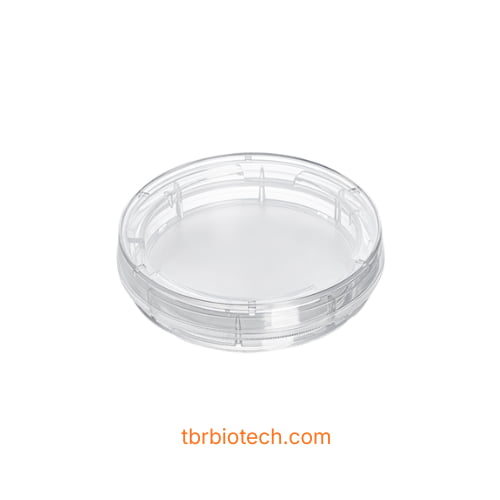 đĩa màng lọc nuôi cấy mô 100 mm